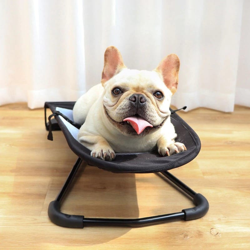 Dog Rocking Chair
