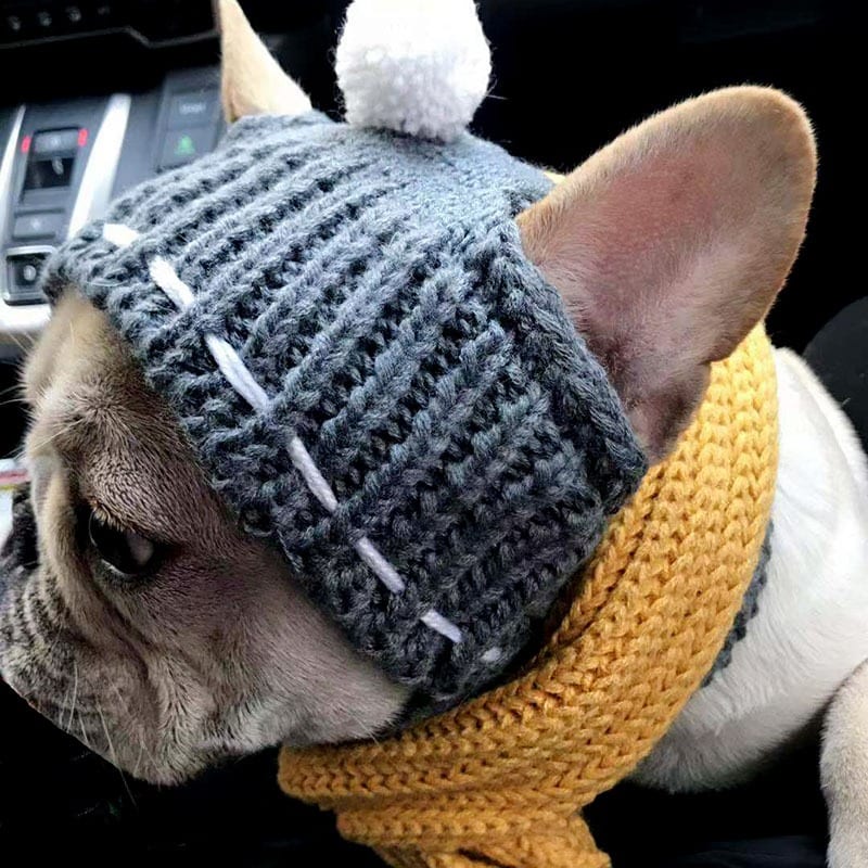 Woolen Dog Hat
