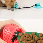 Dog Chewy Ball Teeth Cleaning