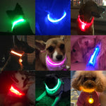 Pet LED Collar